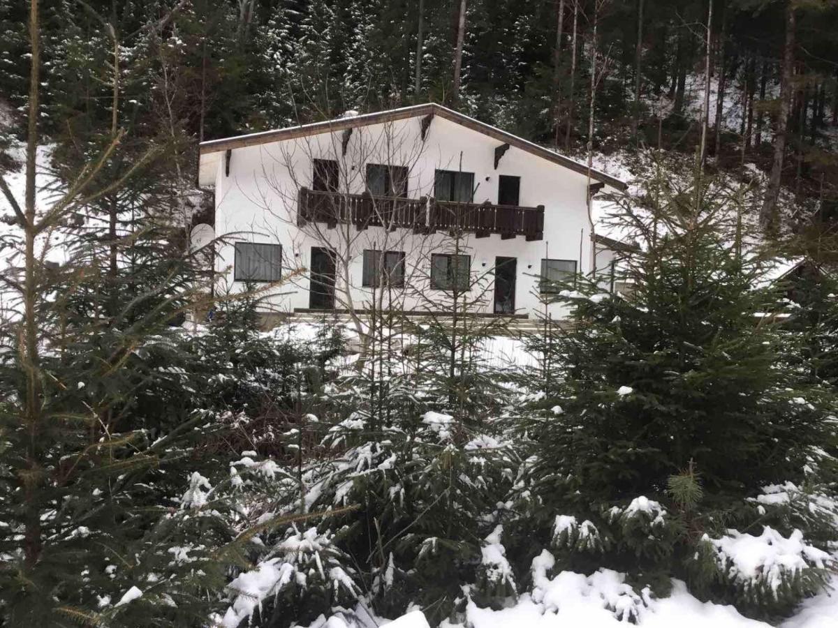 Cottage house Mizhhirya  Zewnętrze zdjęcie