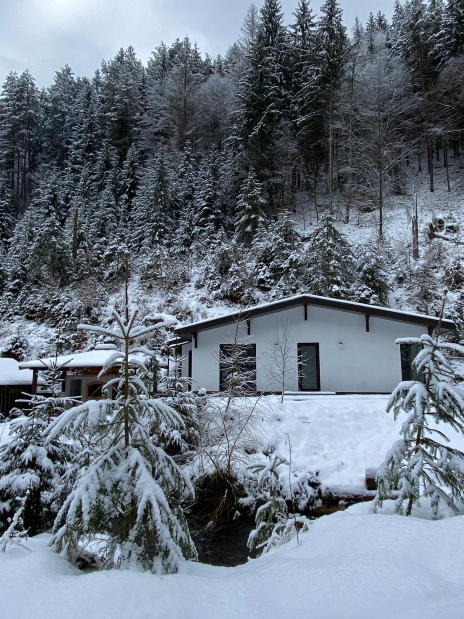 Cottage house Mizhhirya  Zewnętrze zdjęcie