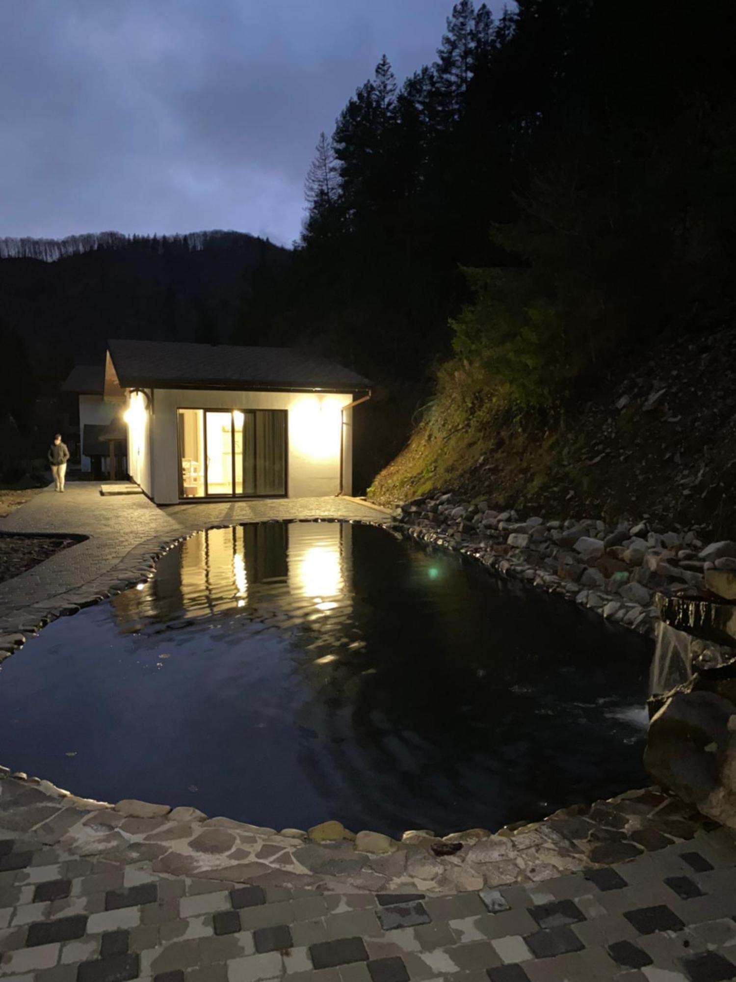 Cottage house Mizhhirya  Zewnętrze zdjęcie